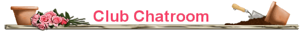 Club Chatroom