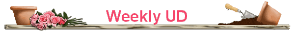 Weekly UD